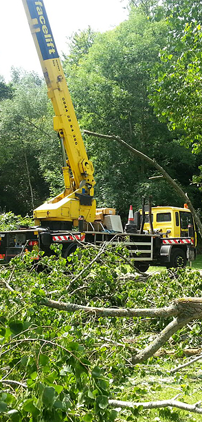 Mini Digger Hire Guildford, Surrey